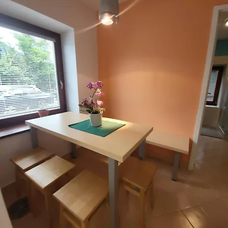 Lägenhet Caissa - Spacious House In Quiet Location Tolmin